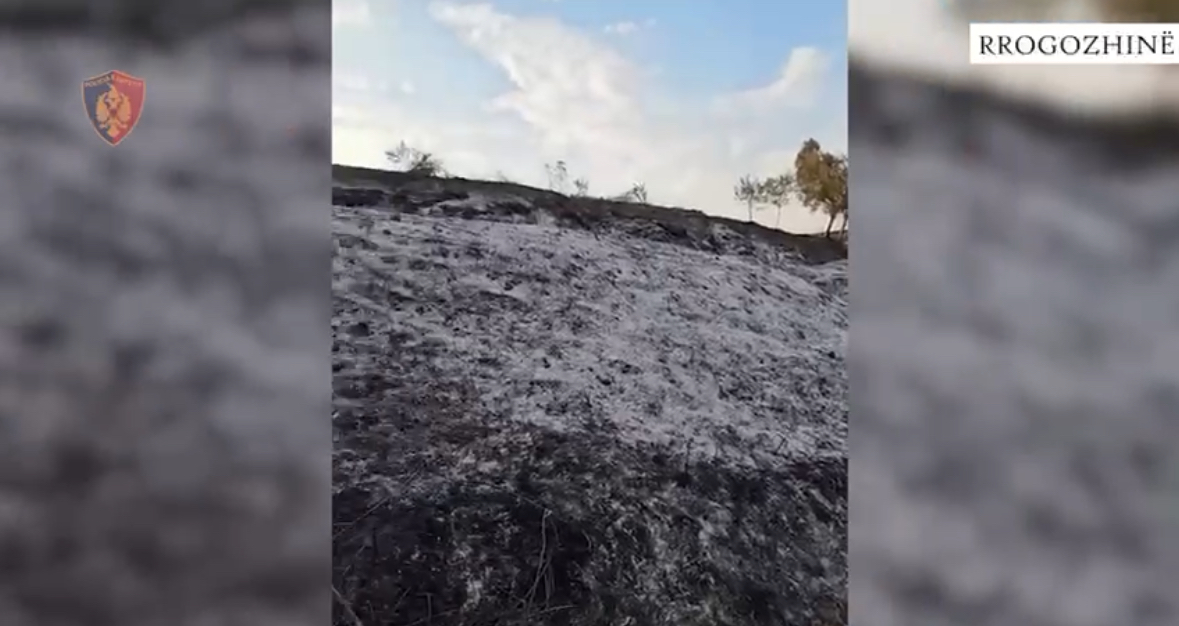 Dogji mbeturinat në tokën e tij por flakët shkrumbuan sipërfaqen me pemë frutore, arrestohet 31-vjeçari në Rrogozhinë