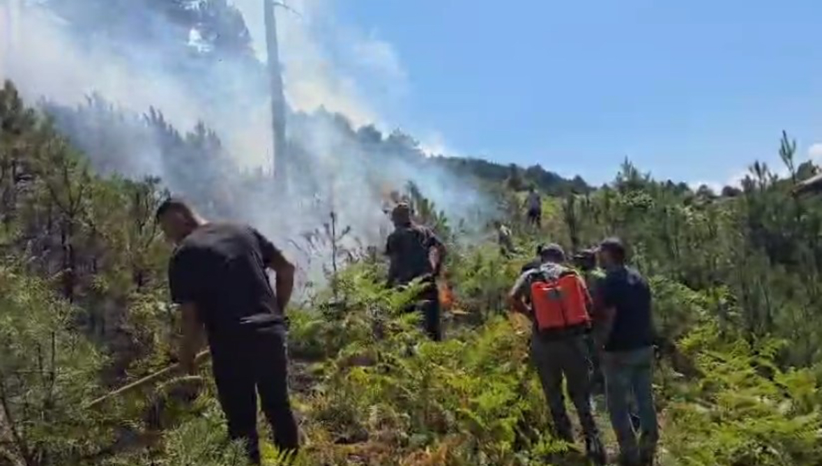 Riaktivizohen disa vatra zjarri në Gramsh, ja ku paraqitet rreziku më i madh
