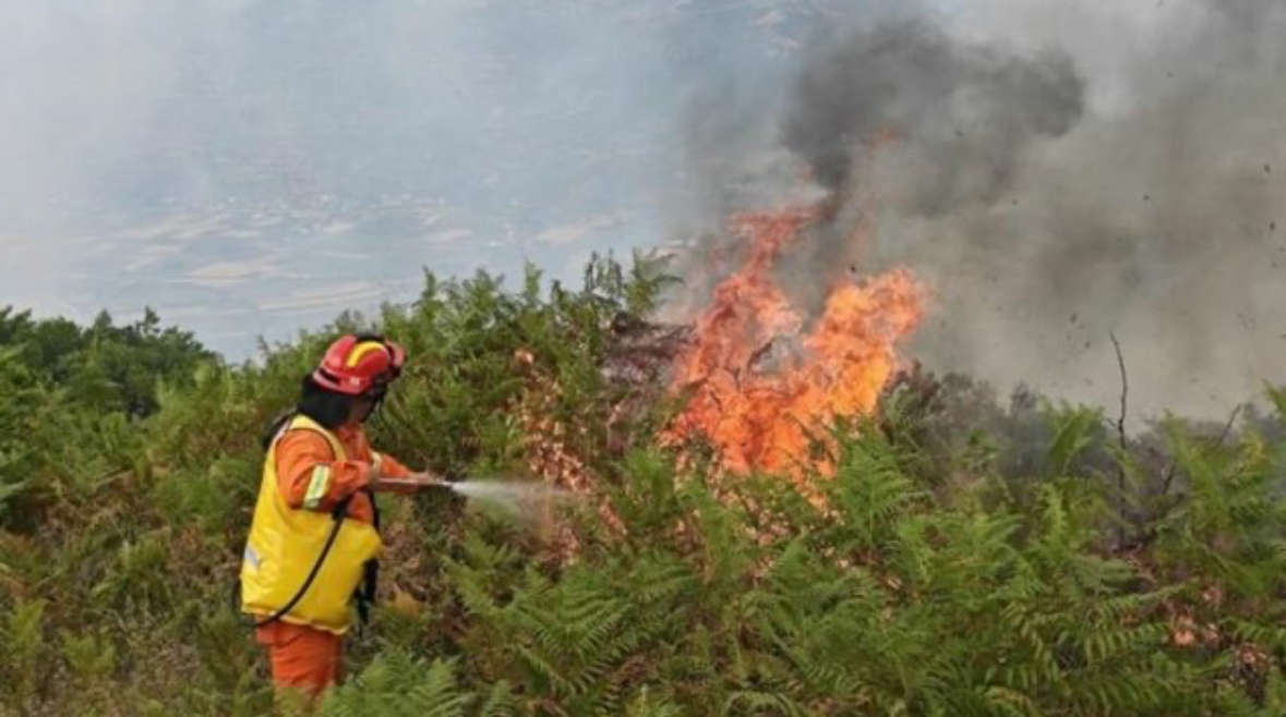 Situata e zjarreve në vend/ Ministria e Mbrojtjes: 3 vatra aktive, ja zonat ku po &#8216;luftohet&#8217; ende me flakët