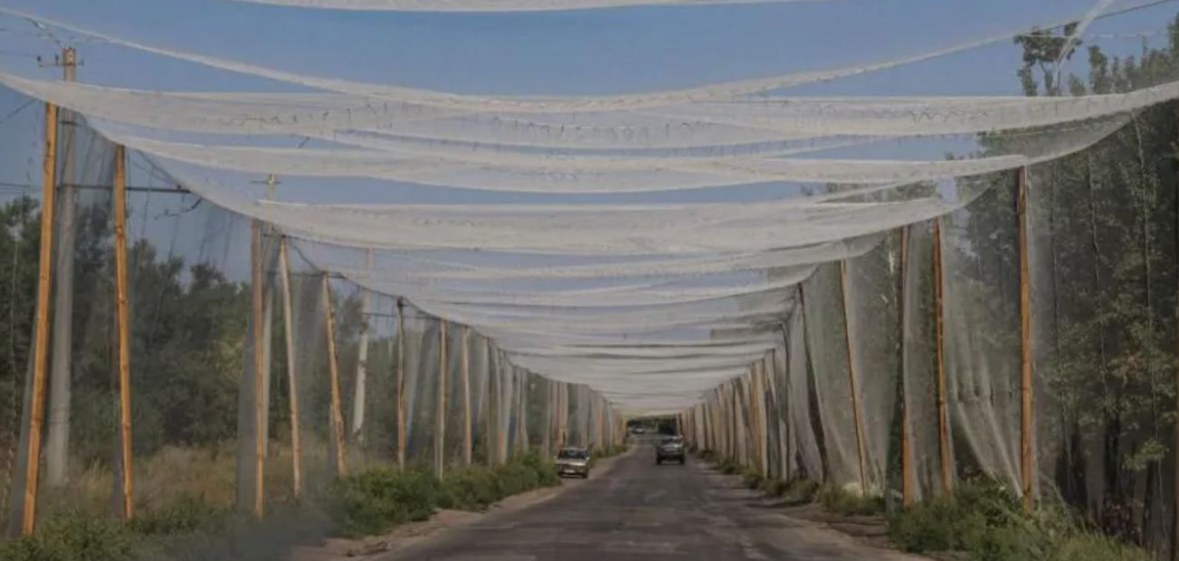 Pse Donetsku ka kaq shumë rëndësi për mbrojtjen e Ukrainës