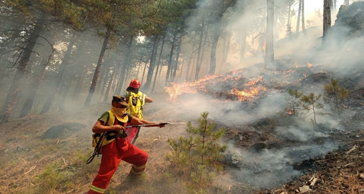 Situata me zjarret në vend, ende vatra aktive! Zjarrfikësit në terren në ‘luftë’ me flakët