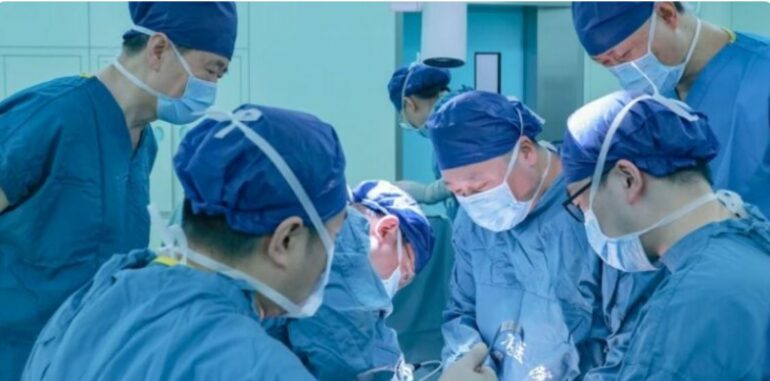 Mjekësia kineze kryen transplantin e parë të derrit te një njeri