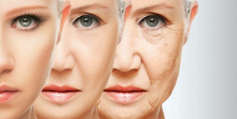 Shkenca zbulon kur fillon plakja e vërtetë