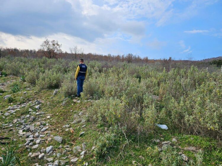 Projektligji depozitohet në Kuvend, lejimi i gjuetisë vetëm në zona të miratuara