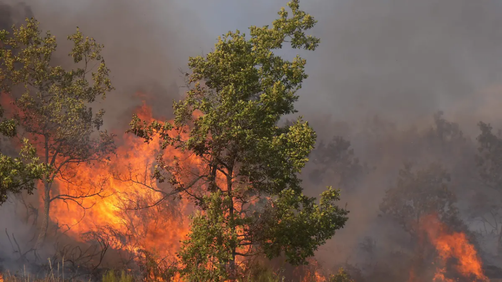 Zjarret në vend/ 11 vatra u shuan, dy ende aktive