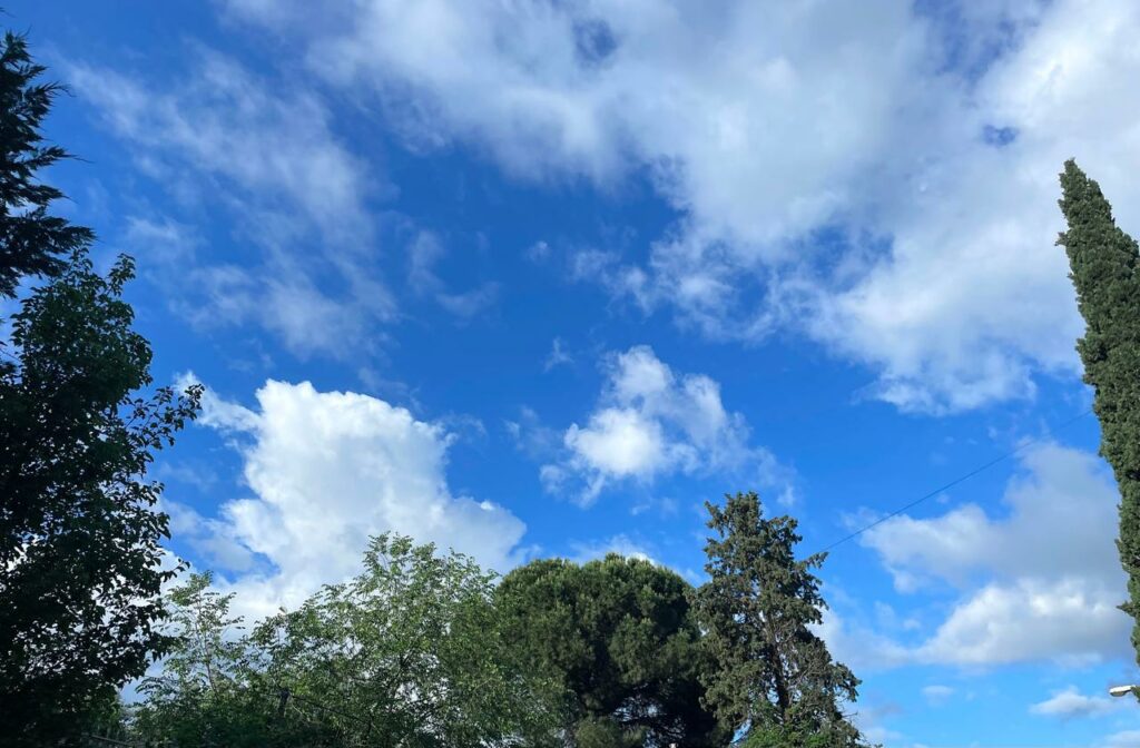 Parashikimi i motit, 7 gusht 2025