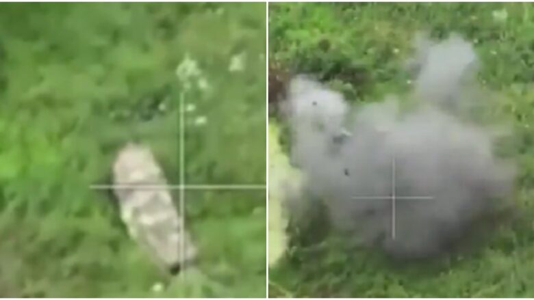 Mbrojtja termike nuk mjafton, ushtari rus zbulohet nga droni dhe eliminohet