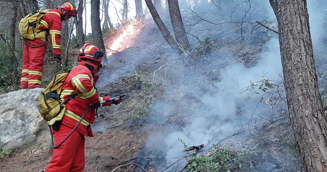 Situata e zjarreve/ 14 vatra të raportuara në 24 orë, 3 ende aktive