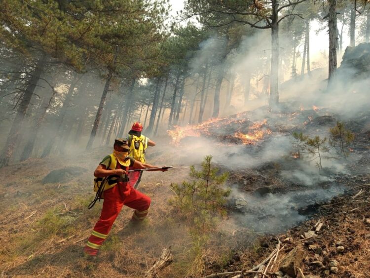 Situata e zjarreve në vend, 4 vatra ende aktive