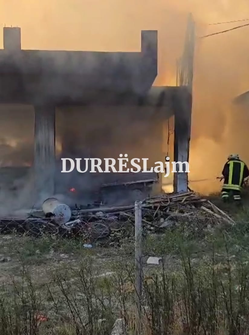 Zjarri që shkrumboj automjetet në Spitallë, çfarë thotë policia