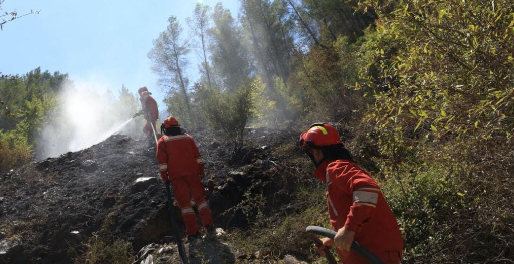 Shpërblim për zjarrfikësit që luftuan me flakët! 1 deri në 3 paga mujore për efektivët e Forcave të Armatosura, Policisë së Shtetit e Mbrojtjes Civile