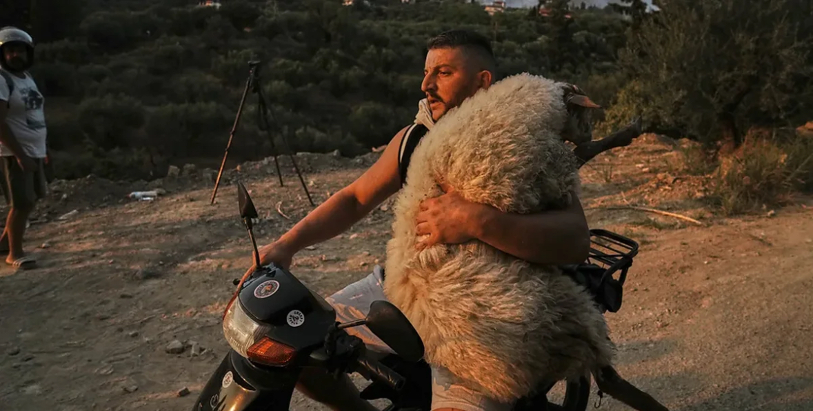 Shqiptari riktheu imazhin e “Bariut të Mirë”, një ndër 12 fotot më ikonike të vitit 