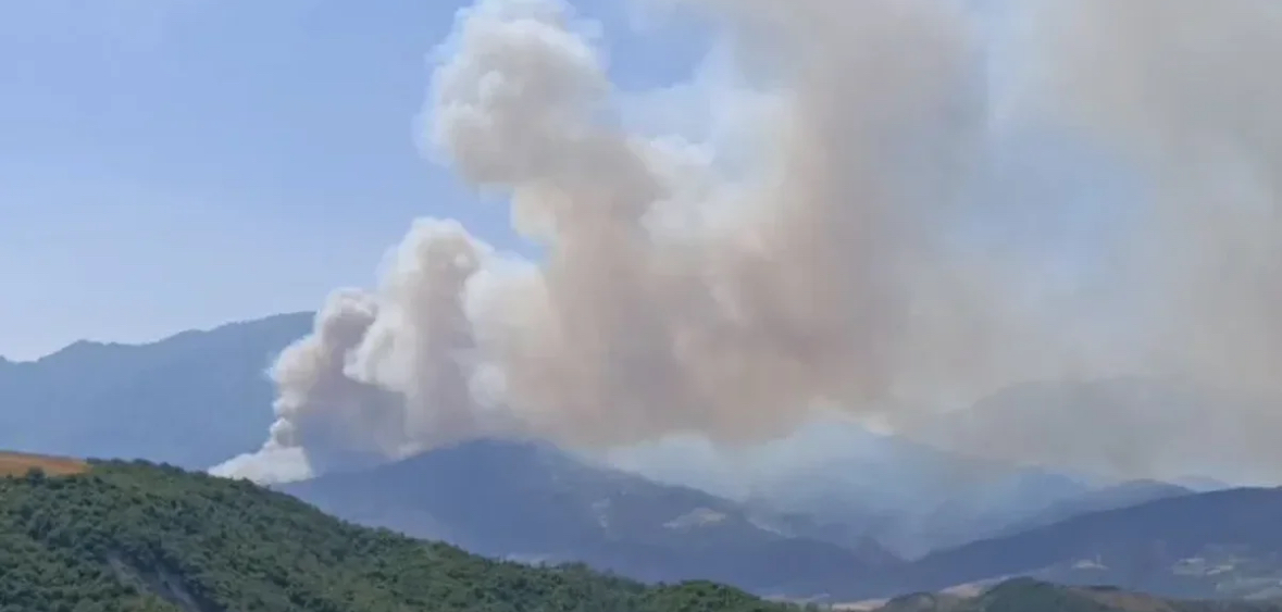 Vatër zjarri në Parkun e Butrintit, era favorizon përhapjen e flakëve 