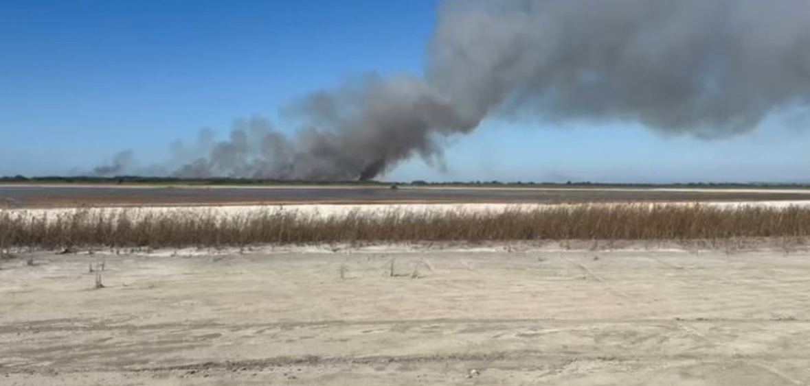 Bregdeti i Semanit në flakë, era favorizon përhapjen e zjarrit, rrezikohet habitati i specieve të egra 