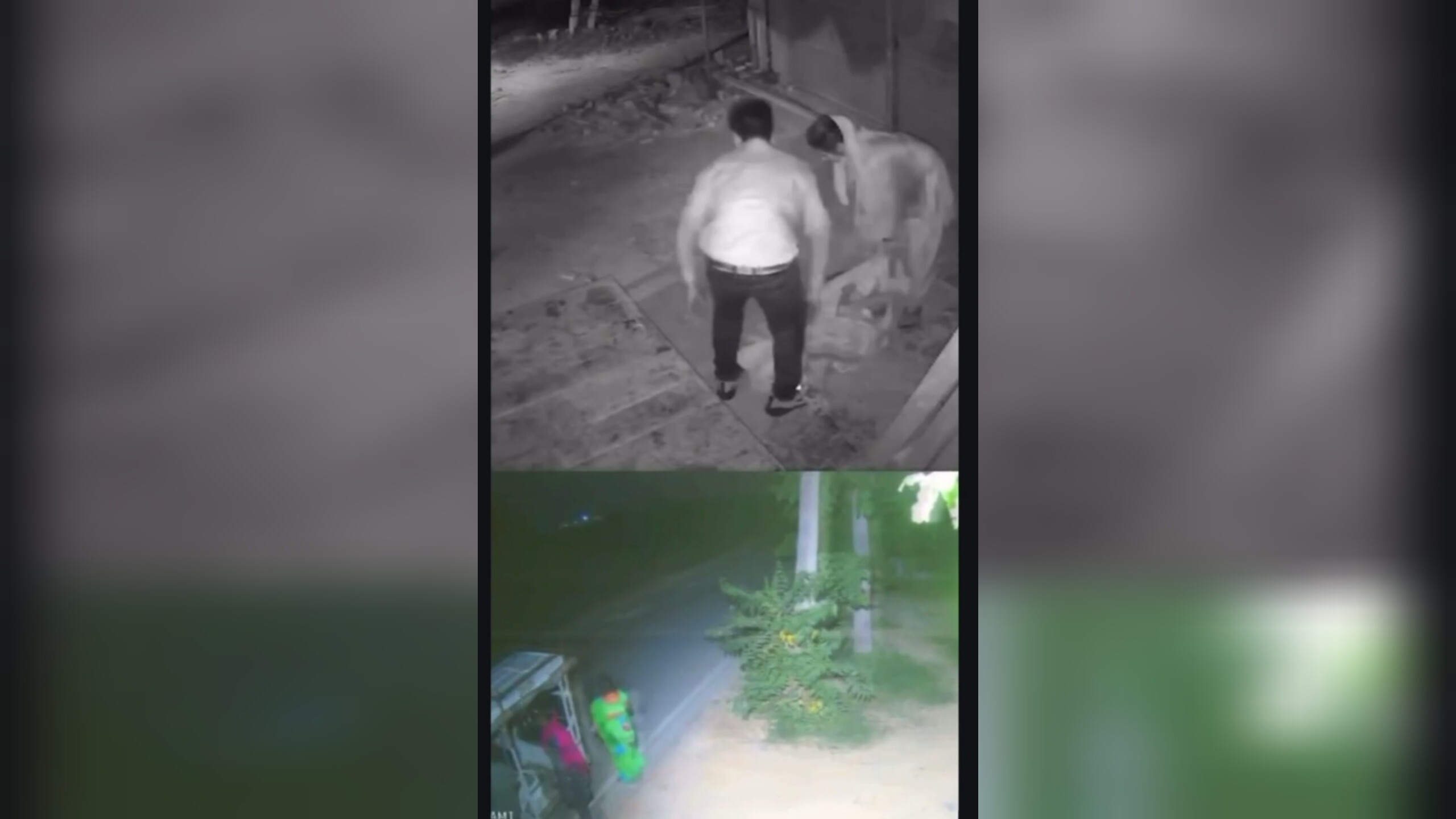 Tronditëse në Indi, gruaja e moshuar  braktiset në mes të natës nga familjarët (VIDEO)