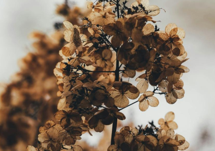 Ekuinoksi i vjeshtës, 3 shenjat e horoskopit që do të nisin një kapitull të ri në jetën e tyre