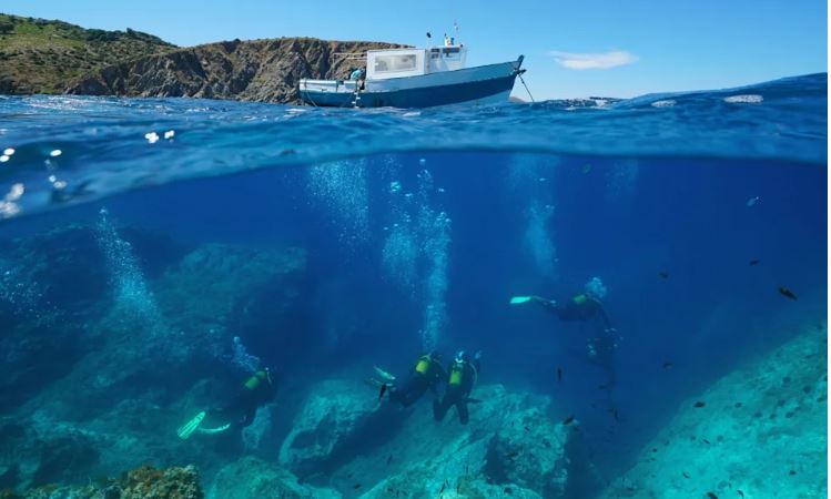 Shkencëtarët japin alarmin: Deti Mesdhe po pushtohet nga një grabitqar i rrezikshëm, shkak…