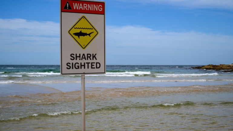 Australi/ Sulmohet nga një peshkaqen, ndërron jetë surfisti në Sidnei