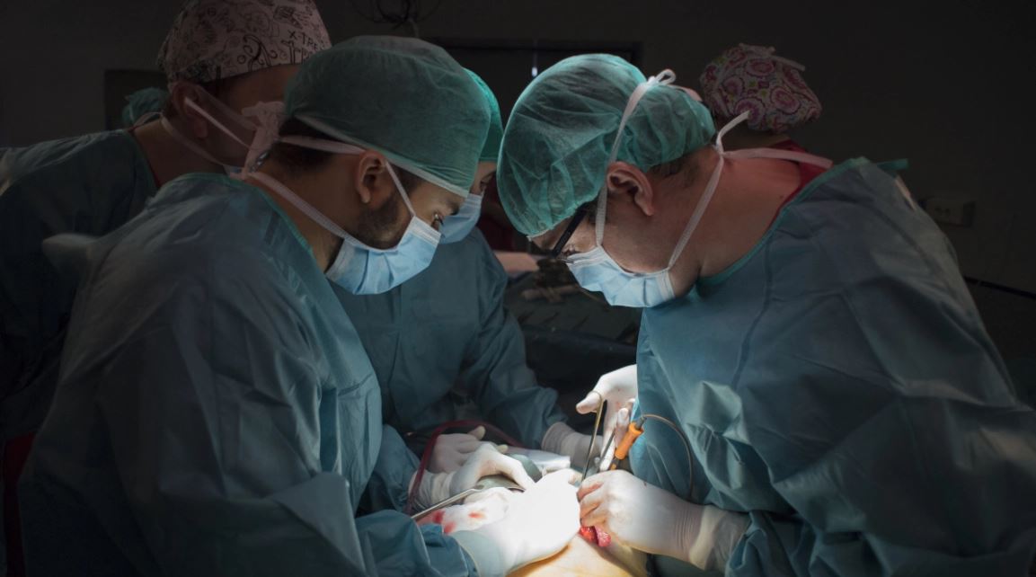 Dialogu Putin-Xi ndez rrjetin, a mund të çojë transplanti në pavdekësi? Çfarë mendojnë shkencëtarët, fantazi apo një realitet teknologjik dhe disa shifra