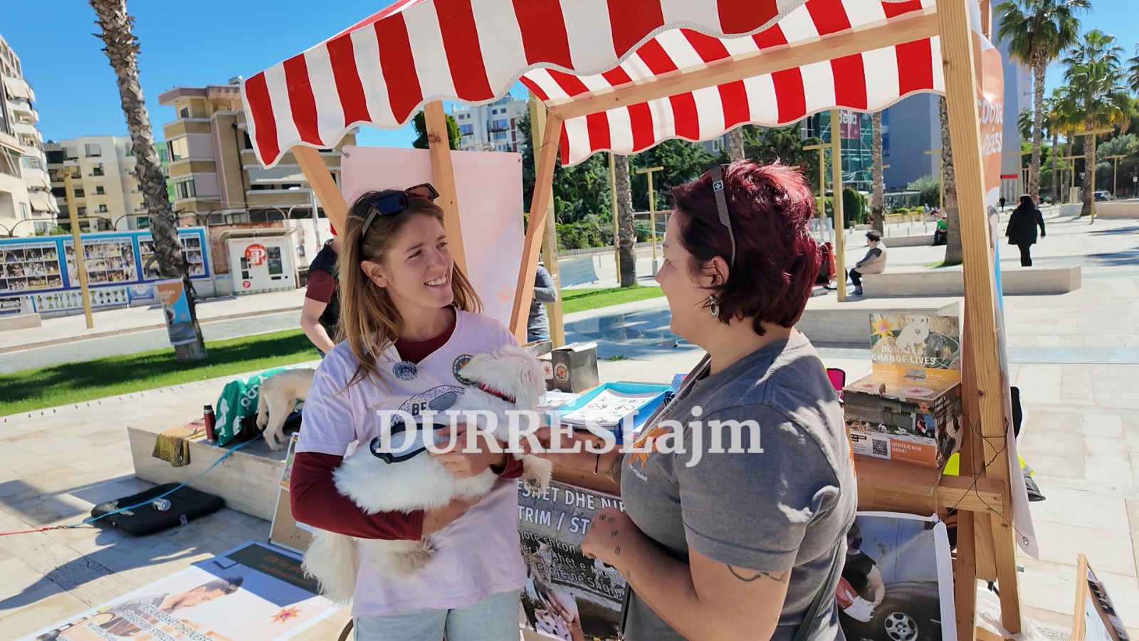 Dita Botërore e Kafshëve në Durrës, organizatat apelojnë për një angazhim më të madh të qytetarëve (VIDEO)