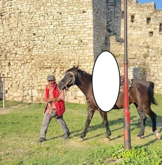 &#8220;Mos e prek kalin se është i acaruar sot&#8221;, Masakroi me thikë turistin në Berat, autori jep detaje nga ngjarja: Më ofendoi! Pas krimit shkova në banesë&#8230;