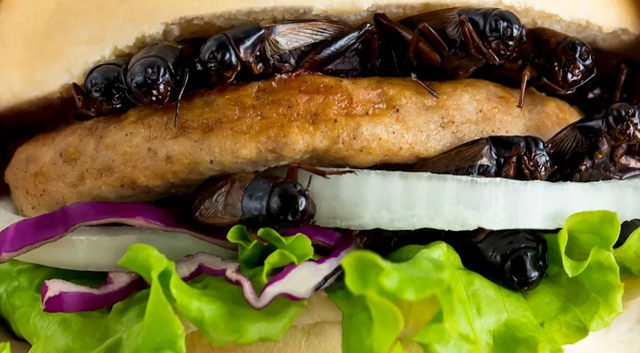 Ushqimi i së ardhmes