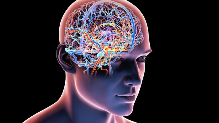 Studimi: Mosha më e zgjuar në jetë nuk është ajo që keni ditur deri tani