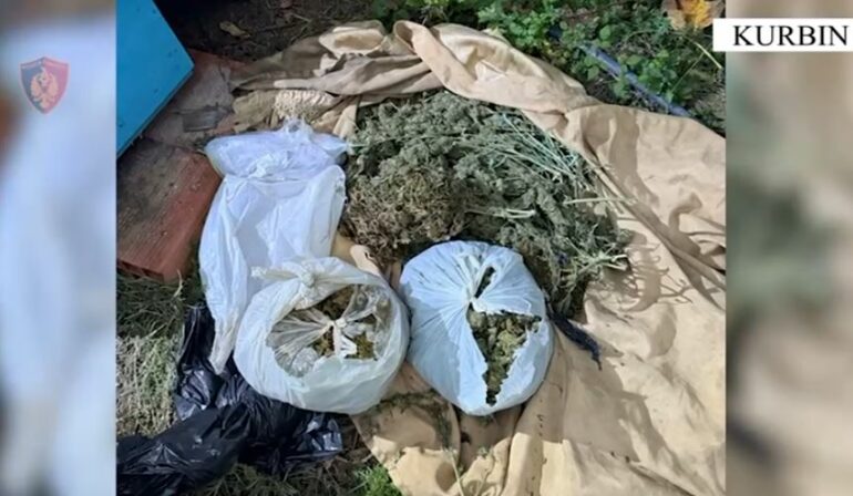 EMRI/ Kishte fshehur në banesë mbi 7 kg kanabis, arrestohet 62-vjeçari