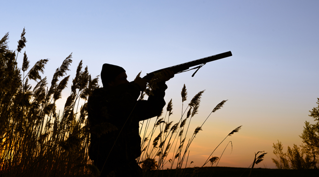 Kishin dalë për gjueti të jashtëligjshme në Lezhë, arrestohet dy autorët, 20 shpendë të vrarë