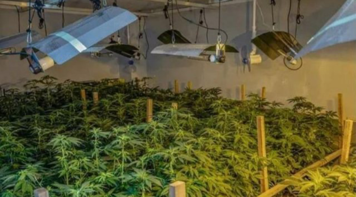 U kap në një shtëpi me sende të paligjshme, i riu shqiptar i shpëton burgut në Britani