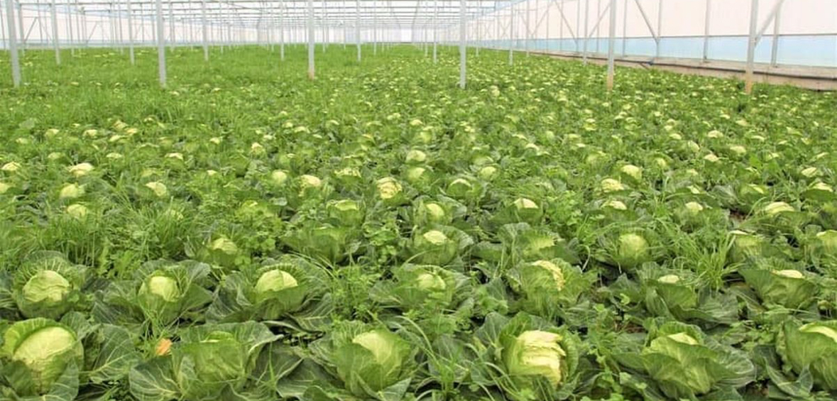 Bujqësi, aplikimet për kredi të buta dhe garanci sovrane deri më 20 nëntor 