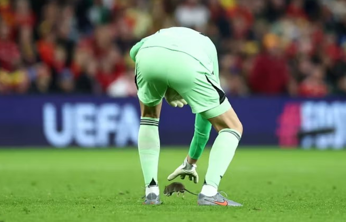 Miu ndërpret ndeshjen Uells-Belgjikë dhe portieri Kortua vendoset pas tij