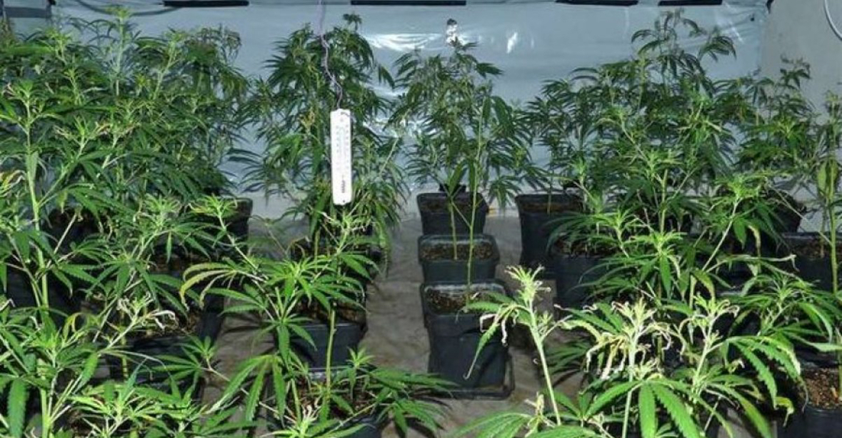 ‘Shtëpi bari’ në mes të qytetit të Bilishtit, Policia e Korçës shoqëron disa persona 