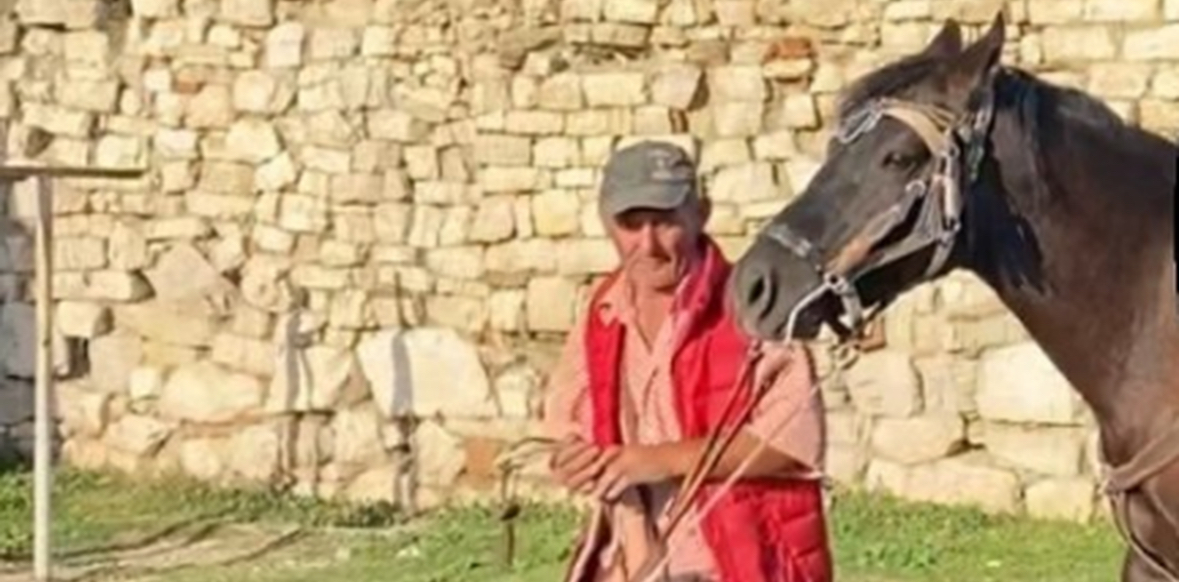 Ngjarja e rëndë në Berat/ Publikohet fotoja e autorit, konflikti nisi për kalin 