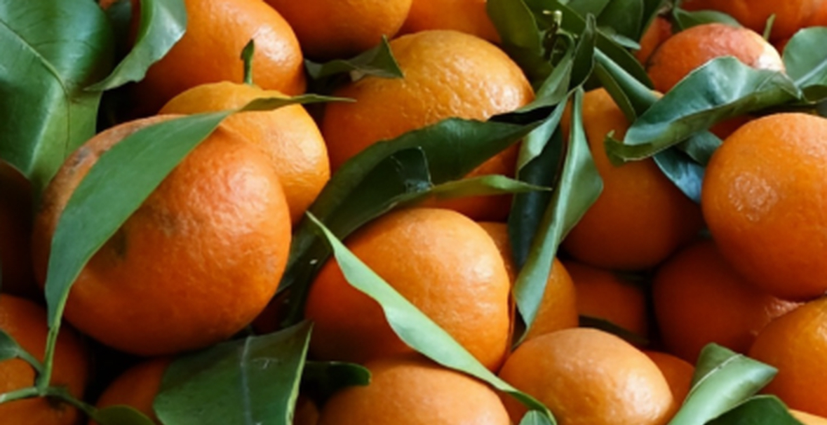 Mandarina me helm në treg 