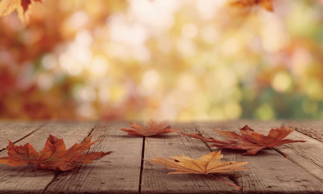 Zhvillime të papritura në Nëntor! Këto janë 4 shenjat e horoskopit që pritet të përjetojnë ndryshime të mëdha