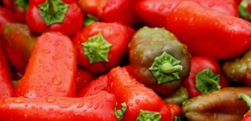 Kapen sërish perime me pesticide nga Shqipëria, Kroacia bllokon ngarkesën me speca