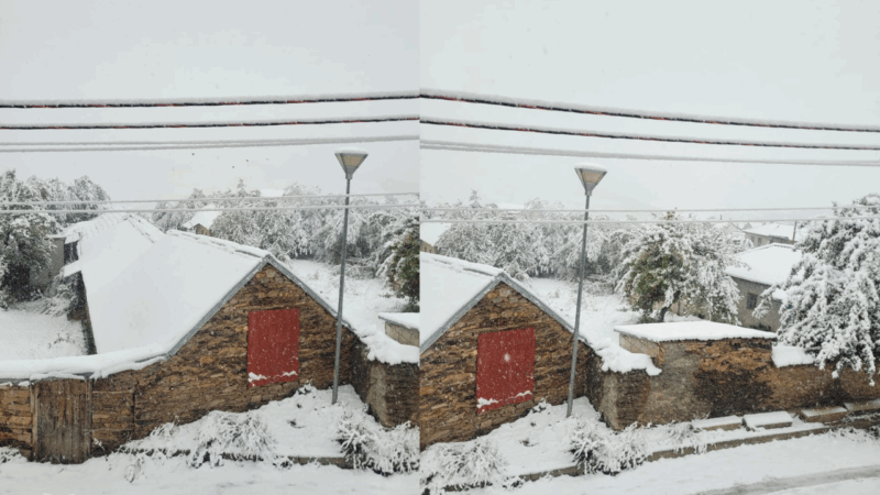 Dimri i parakohshëm, zonat verilindore zbardhen nga dëbora