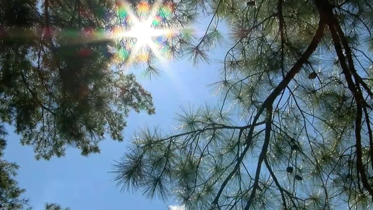 Parashikimi i motit, 20 tetor 2025