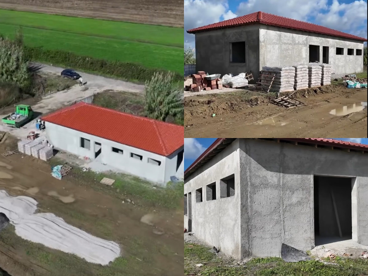 Durrës/ Sako njofton ndërtimin e qendrës për kafshët endacake (VIDEO)