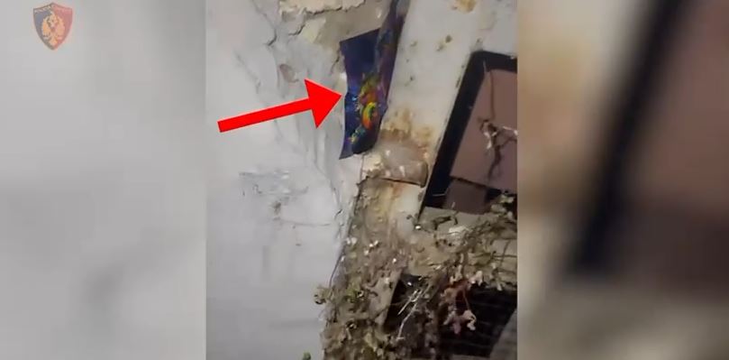 EMRAT/ Shpërndanin drogë në formë xhelatine në Tiranë, arrestohen dy të rinj! Ja çfarë iu zbulua gjatë kontrolleve