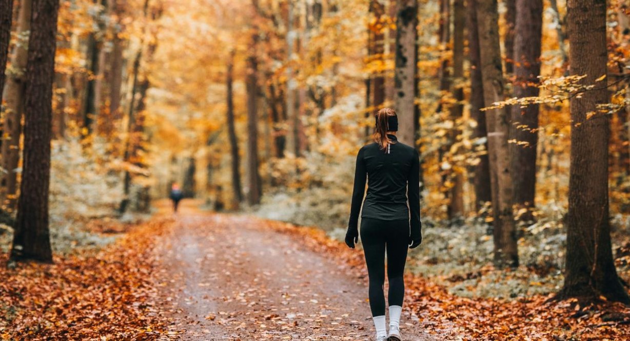Nëntori vjen me ndryshime për katër shenja të horoskopit! Ja çfarë pritet të ndodhë në karrierën dhe jetën tuaj personale
