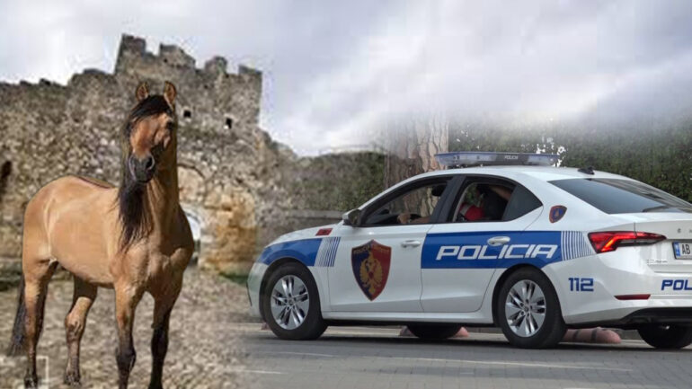 Vrau me thikë vizitorin nga Tirana pas sherrit për kalin, gjykata e lë në burg. Si u justifikua autori