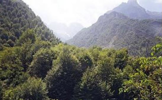 Shkoi të mblidhte gështenja me nënën, zhduket pa gjurmë 26-vjeçari nga Tropoja!