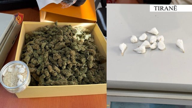Iu gjetën në banesë 800 gramë kanabis dhe kokainë, arrestohet 25-vjeçari