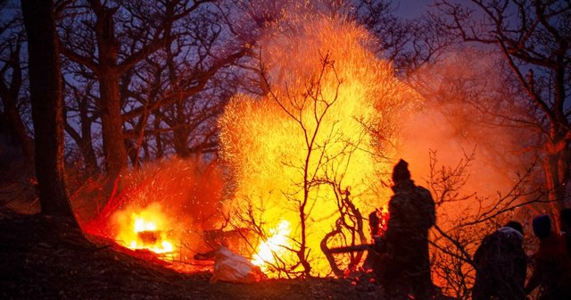 Pyjet e lashta Hirkaniane të &#8216;pushtuara&#8217; nga flakët/ Irani kërkon ndihmë urgjente për shuarjen e zjarrit