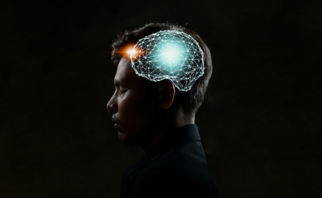 Truri kalon nëpër pesë faza gjatë jetës së njeriut