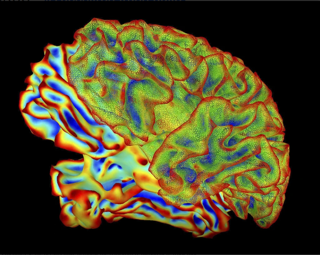 IA deshifron trurin duke shndërruar mendimet në tekst