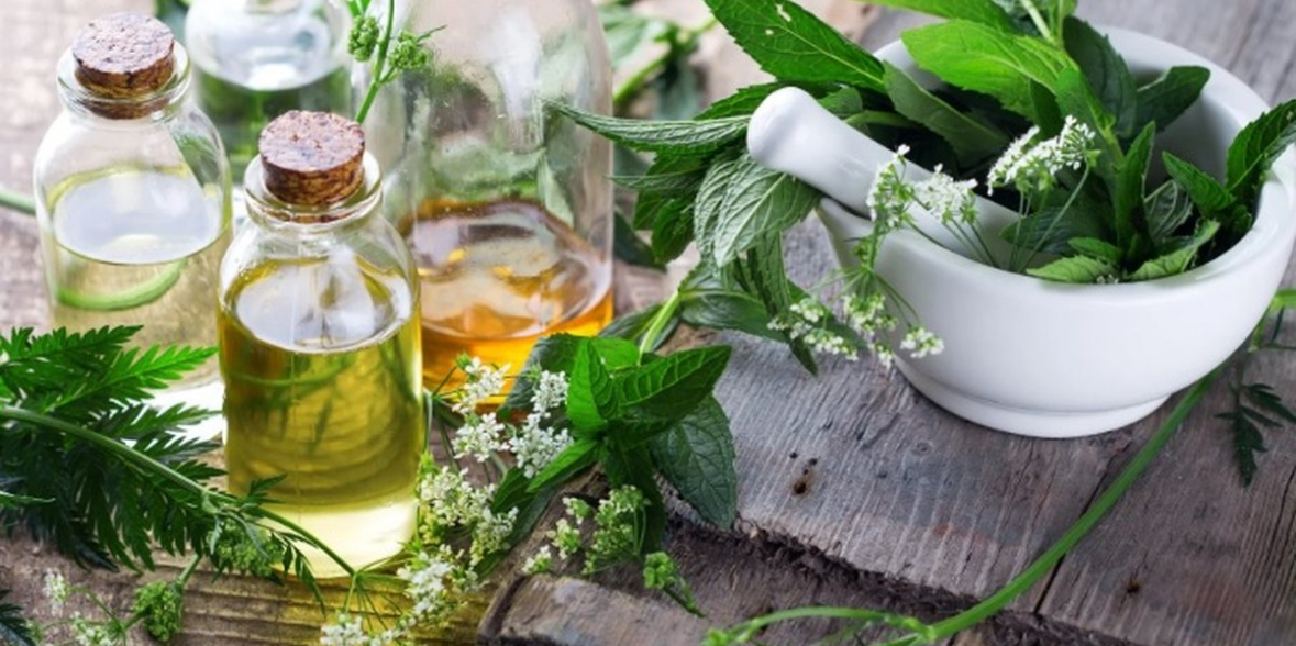 Fuqitë shëruese të natyrës &#8211; Si bimët medicinale ndihmojnë shëndetin 