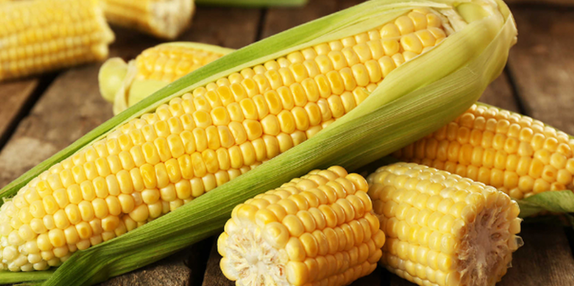 Shkodër, AKU bllokon kamionin me 25 ton misër që vinte nga Serbia 